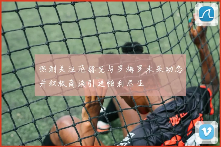 热刺关注范赫克与罗梅罗未来动态并积极商谈引进帕利尼亚