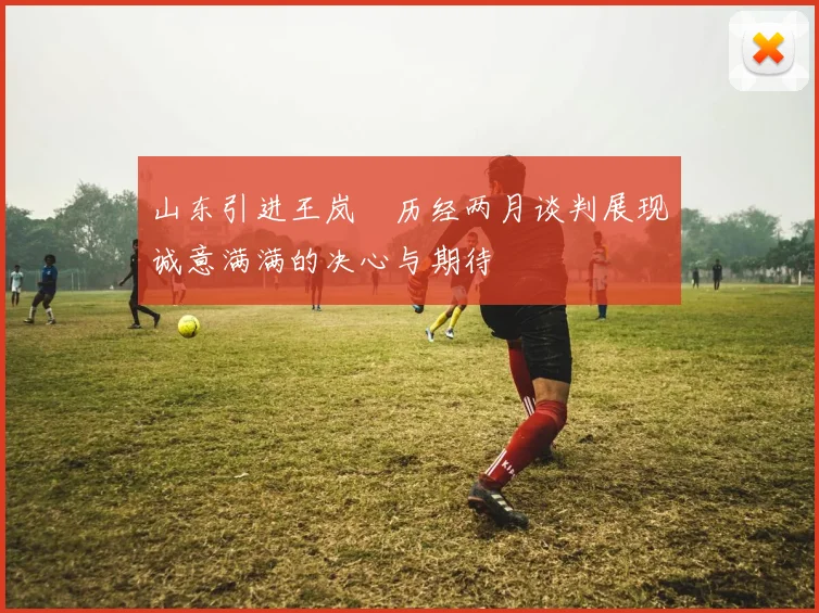 山东引进王岚嵚历经两月谈判展现诚意满满的决心与期待